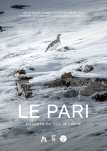 Le Pari - Affiche