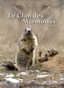 Le Clan des Marmottes - Affiche