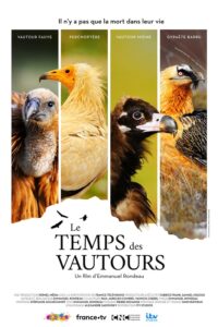 Le Temps des Vautours - Affiche