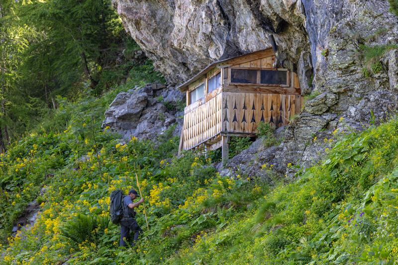 Vivre avec les loups © Bertrand Bodin"